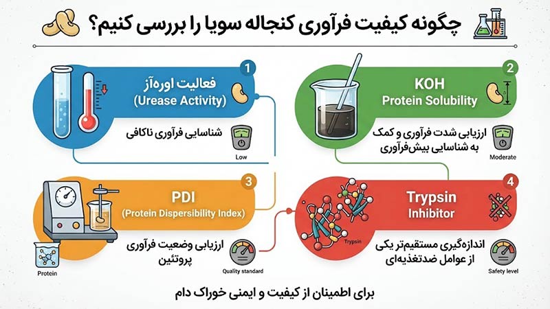 کنجاله سویا دامی ؛ بررسی کیفیت فرآوری کنجاله سویا
